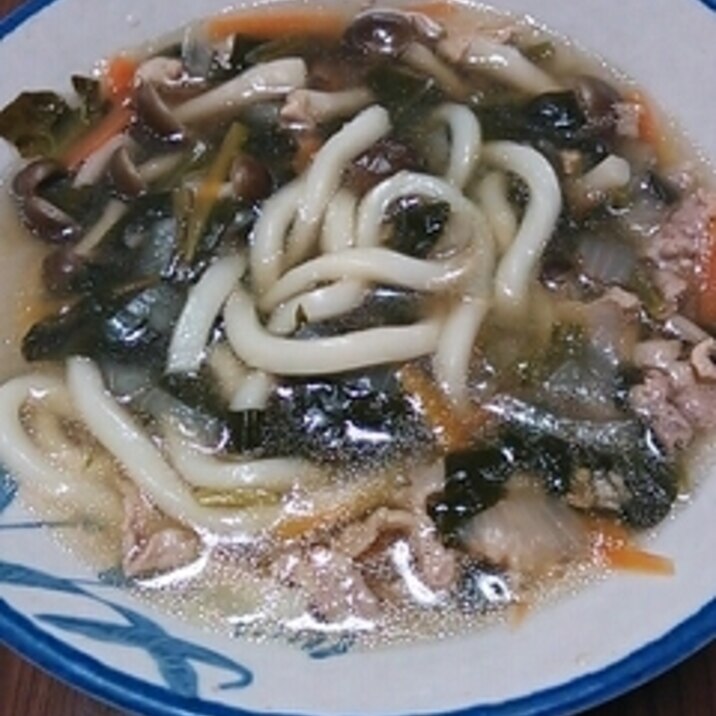 みぞれ肉野菜うどん。